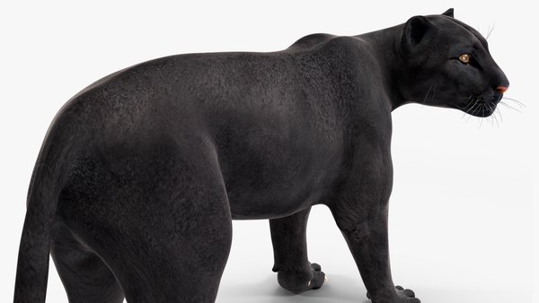 modelo 3d Postura de pie de la pantera negra - TurboSquid 2217138