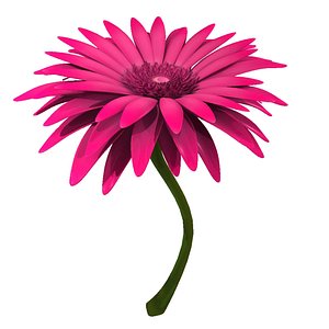 gerbera modeled 3d obj
