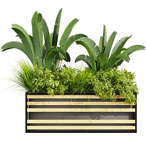 plant vol 865 - banana - grass - bush 3D model