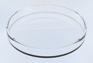 Petri Dish PBR 4 3D model