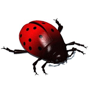 ladybug bug 3d model