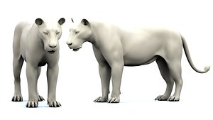 3D Lion
