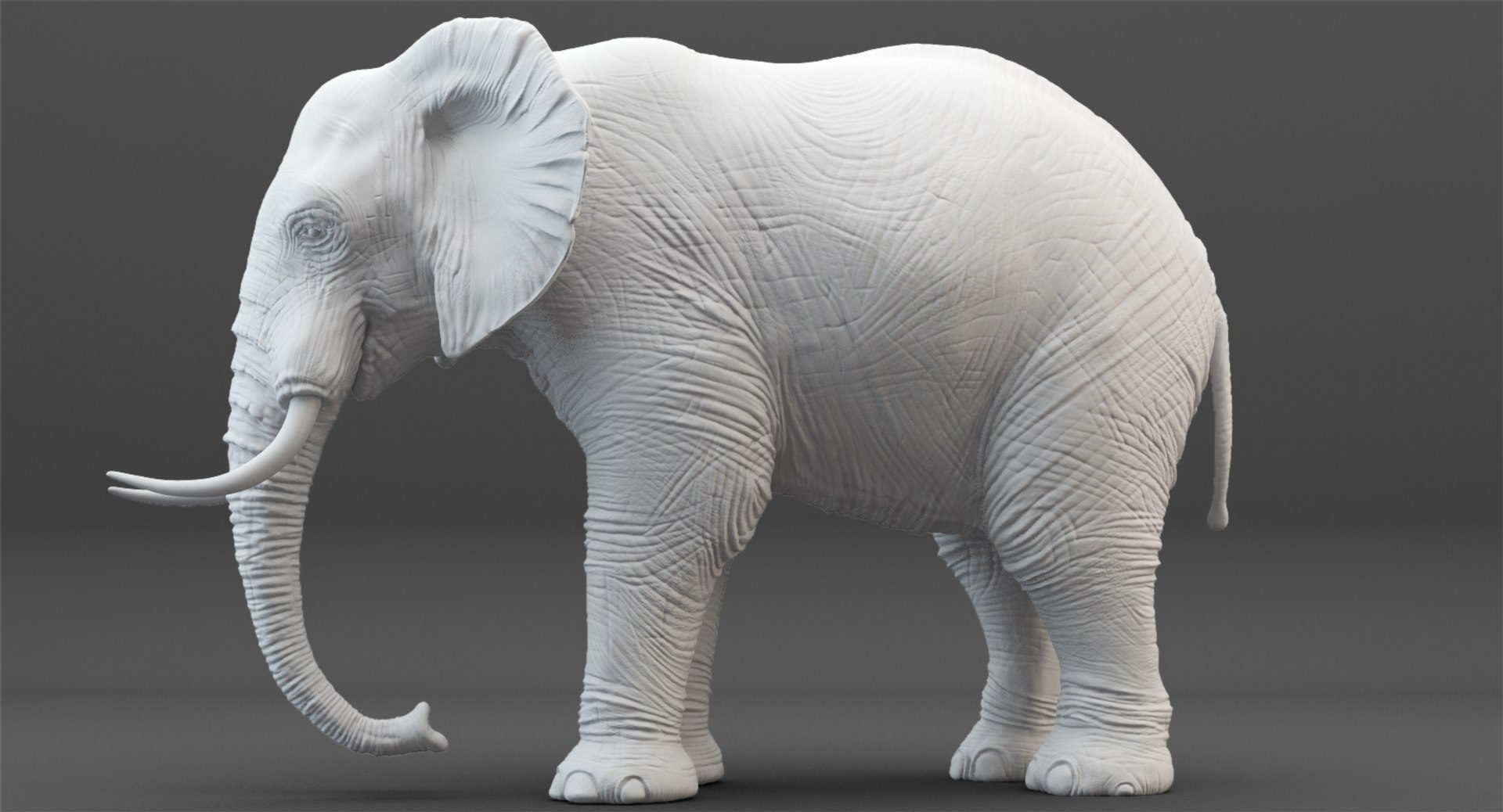 3D rigged elephant model https://p.turbosquid.com/ts-thumb/qy/CXaeMx/9oqj1A0E/cirlce_39/jpg/1552458512/1920x1080/fit_q87/4d3ac893378eeae53fbed8a1689320f6d1d2dcb9/cirlce_39.jpg