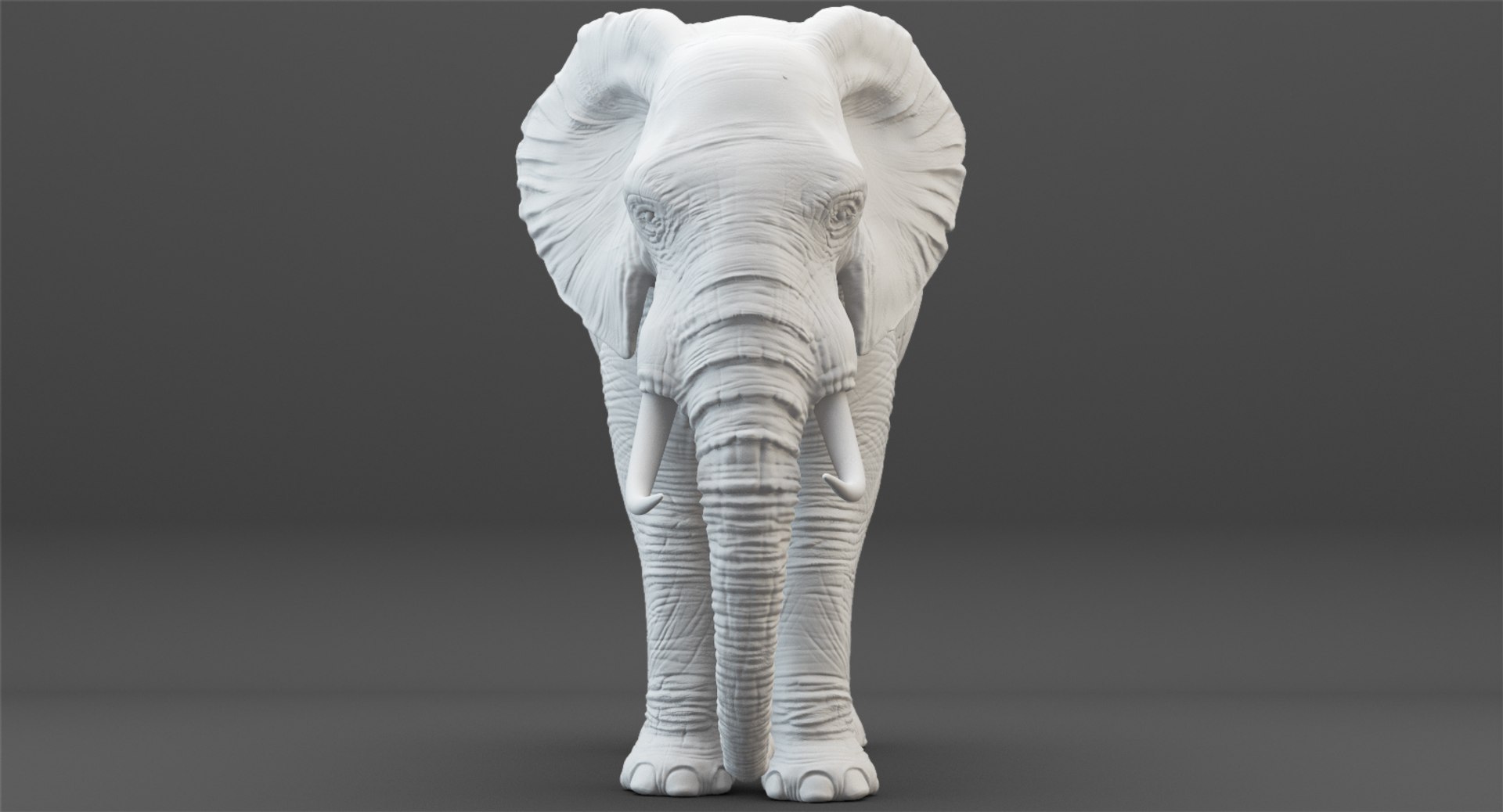 3D rigged elephant model https://p.turbosquid.com/ts-thumb/qy/CXaeMx/RgHQyF5U/cirlce_40/jpg/1552458512/1920x1080/fit_q87/fbdceb43d61bef33f3a3d7a1bb1ff6246ff9df70/cirlce_40.jpg