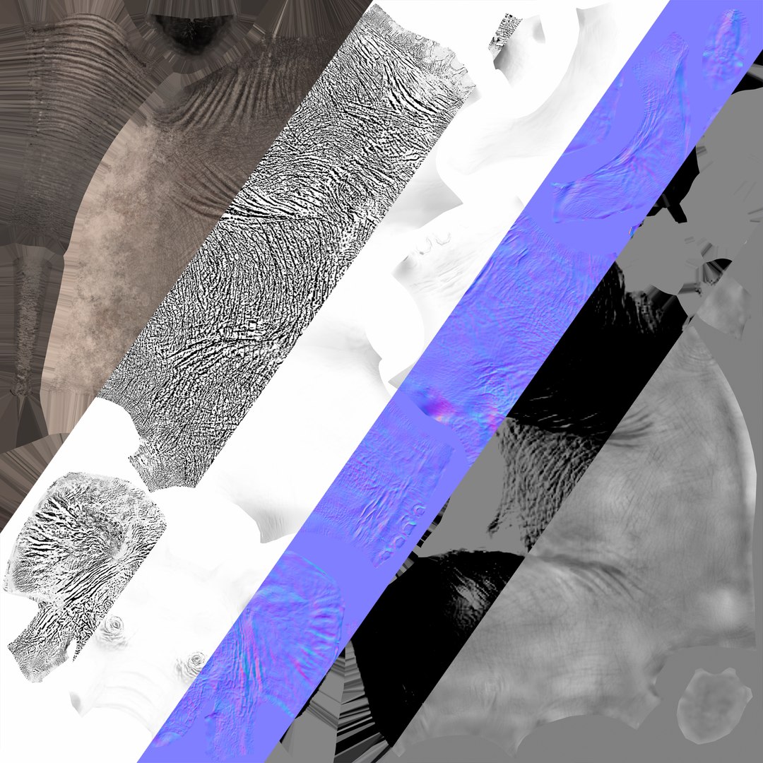 3D rigged elephant model https://p.turbosquid.com/ts-thumb/qy/CXaeMx/u1hUWAjr/maps/jpg/1508256101/1920x1080/fit_q87/8f124ce4f961802fc2fc35620127f2fa03c81603/maps.jpg