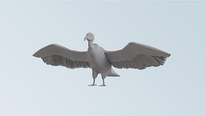 Vulture 3D model