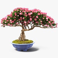 Miniature Green Bonsai Tree with Flowers in Pot