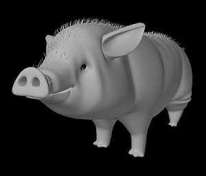 pig
