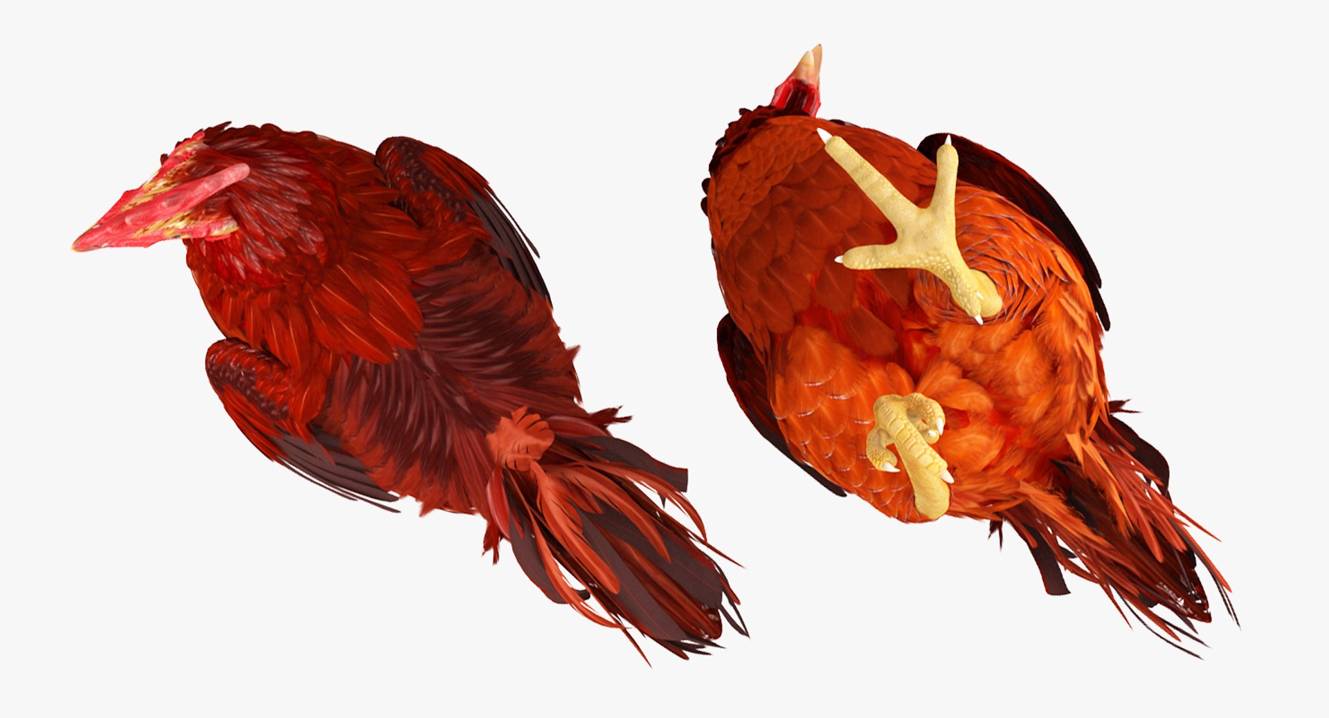 max brown hen standing leg https://p.turbosquid.com/ts-thumb/qy/mrkNWE/218AeJFo/brownhenstandingononeleg3dsmodel008/jpg/1485252567/1920x1080/fit_q87/110147aef9858d70bd7c4afd2dca0822e6f9c036/brownhenstandingononeleg3dsmodel008.jpg