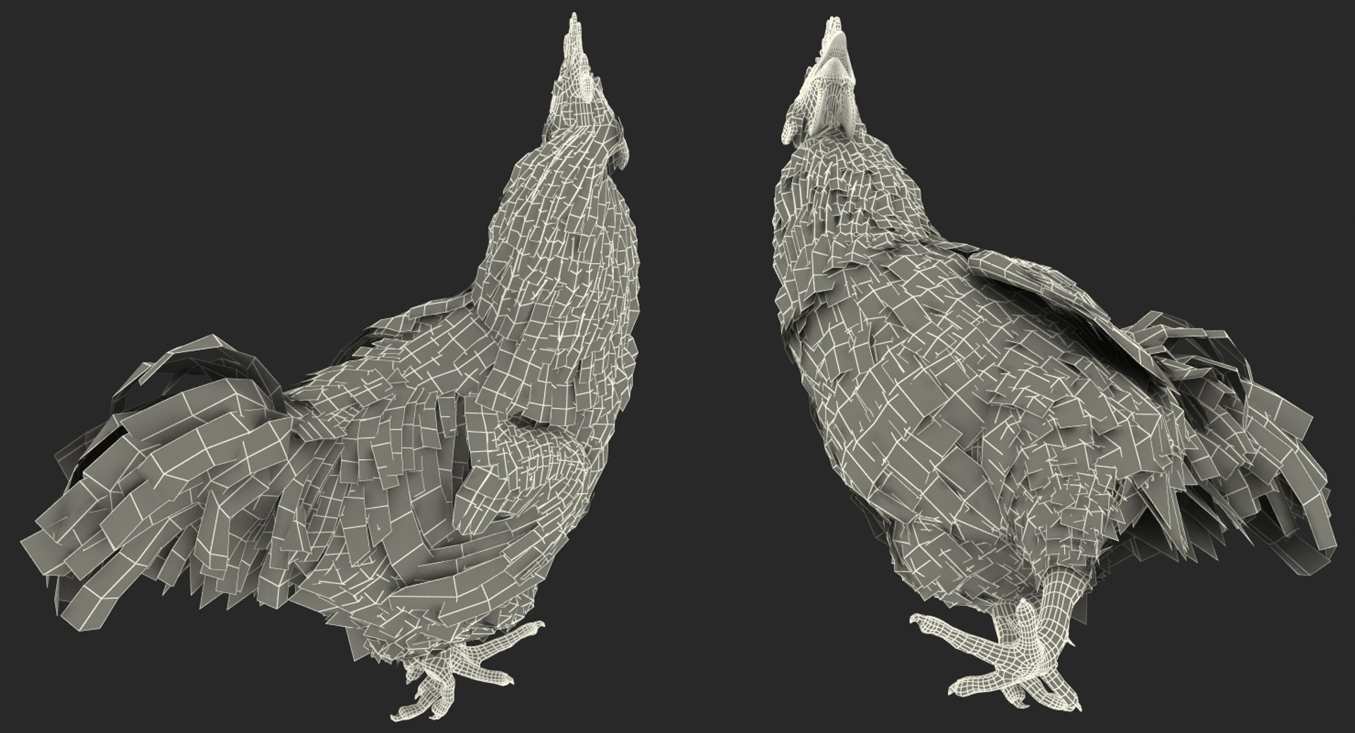 max brown hen standing leg https://p.turbosquid.com/ts-thumb/qy/mrkNWE/JnoakAmr/brownhenstandingononeleg3dsmodel017/jpg/1485252567/1920x1080/fit_q87/dbce1c95b3ae9ecc48e3baf81aeceea49072e19d/brownhenstandingononeleg3dsmodel017.jpg