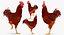 Gallina marrone in piedi su una gamba Modello 3D