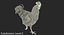 Gallina marrone in piedi su una gamba Modello 3D