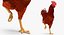Gallina marrone in piedi su una gamba Modello 3D