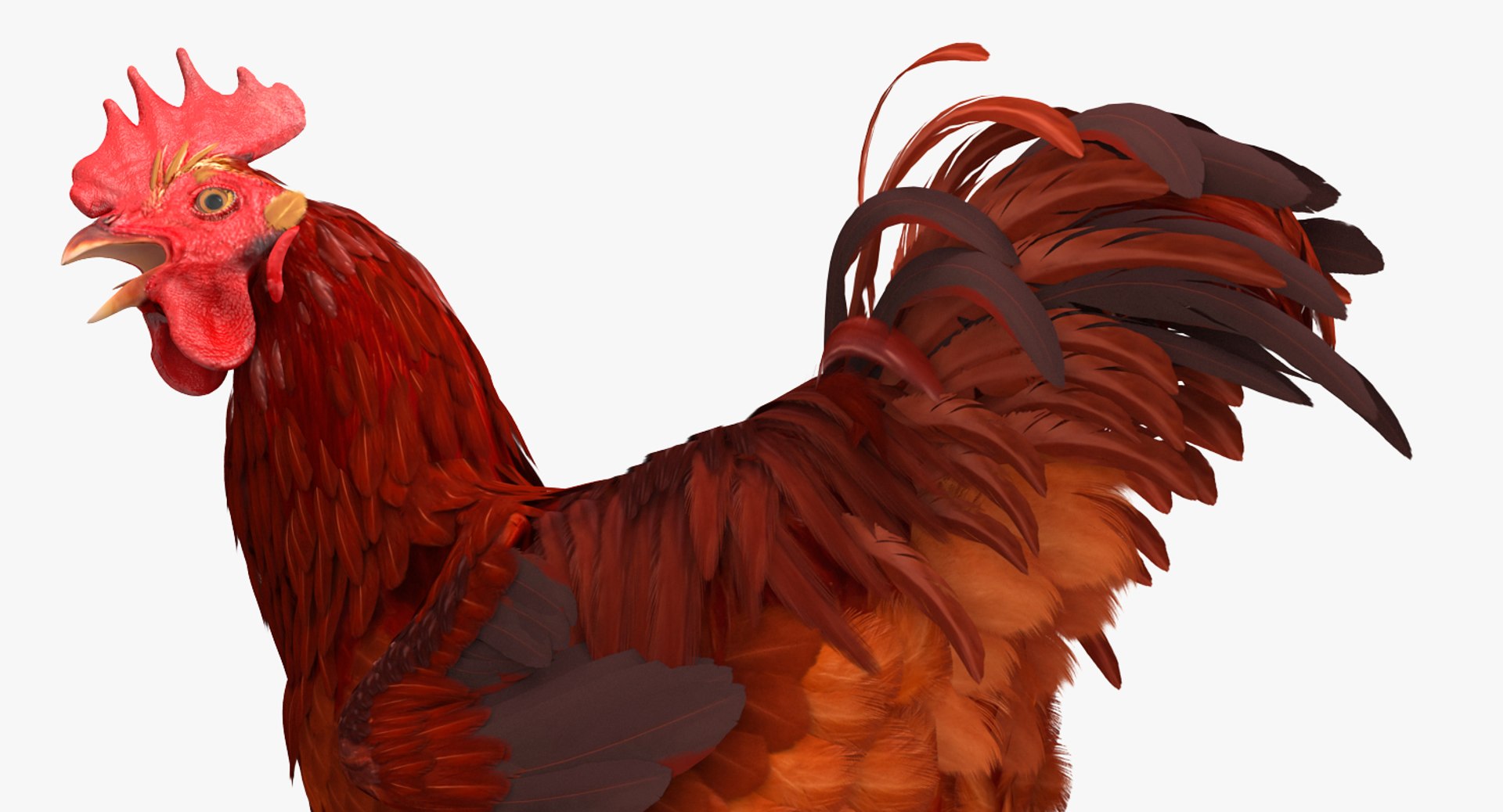 max brown hen standing leg https://p.turbosquid.com/ts-thumb/qy/mrkNWE/tjpBCwGn/brownhenstandingononeleg3dsmodel005/jpg/1485252567/1920x1080/fit_q87/cec90c6722f549c23ad29c87d41f1ec96047d9a0/brownhenstandingononeleg3dsmodel005.jpg