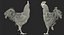 Gallina marrone in piedi su una gamba Modello 3D