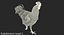 Gallina marrone in piedi su una gamba Modello 3D