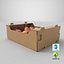 Cardboard Display Box 03 with Peaches