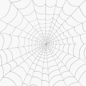 Spider Web