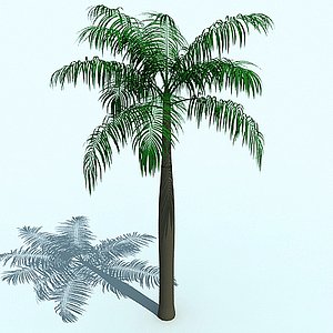 Tree 44