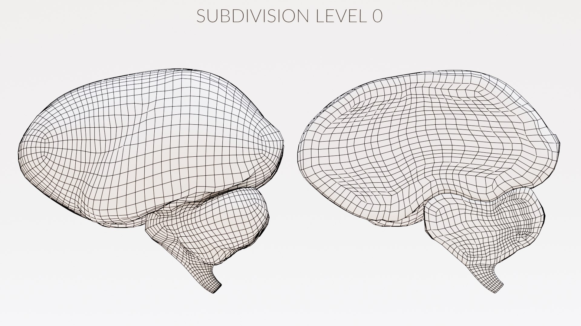 3D Realistic Brain Set - TurboSquid 2023928
