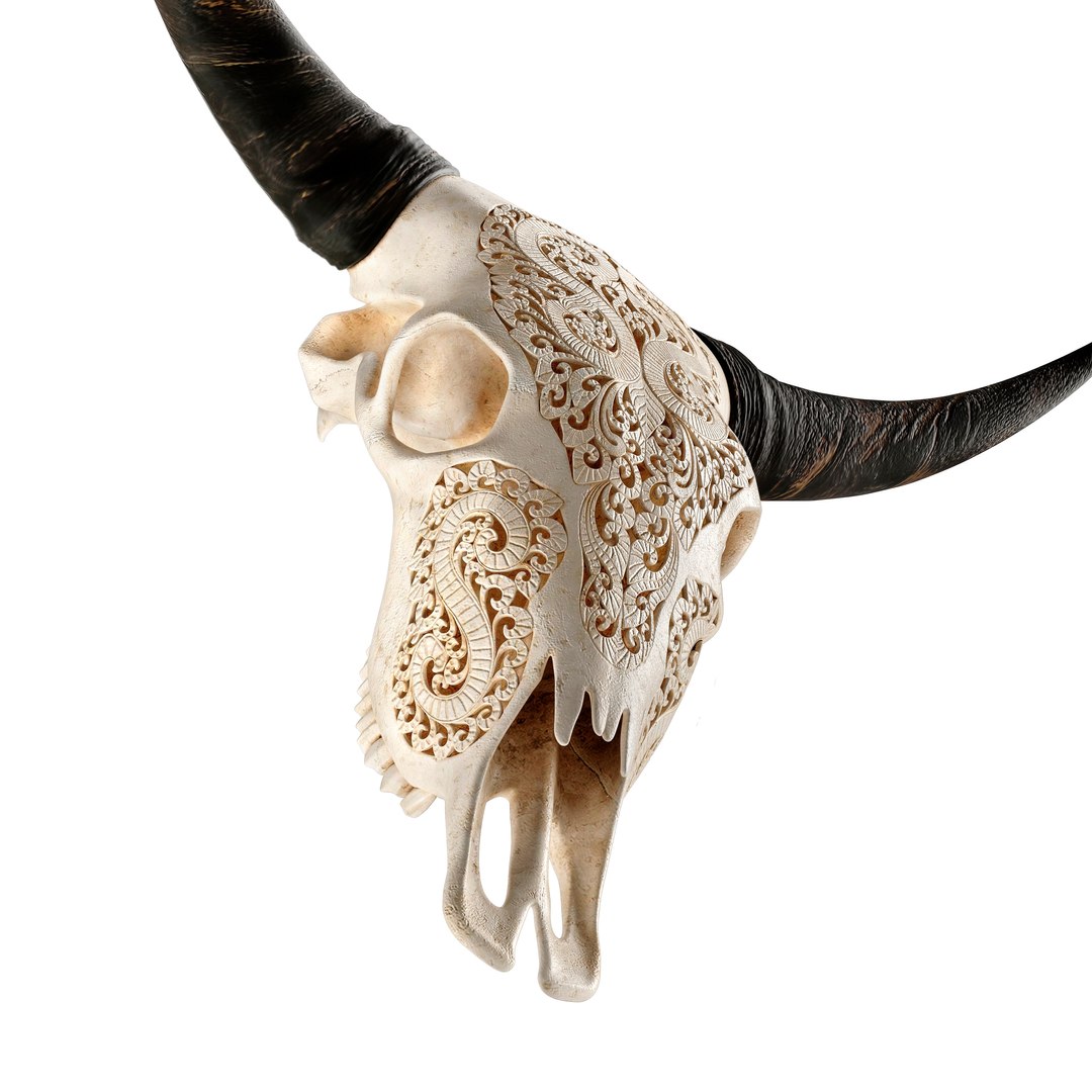 3D Carved cow skull https://p.turbosquid.com/ts-thumb/qy/ze3rWH/3b/4/jpg/1622655909/1920x1080/fit_q87/122731e3b6325972ac7b04d6a2cd8e7823c787b2/4.jpg