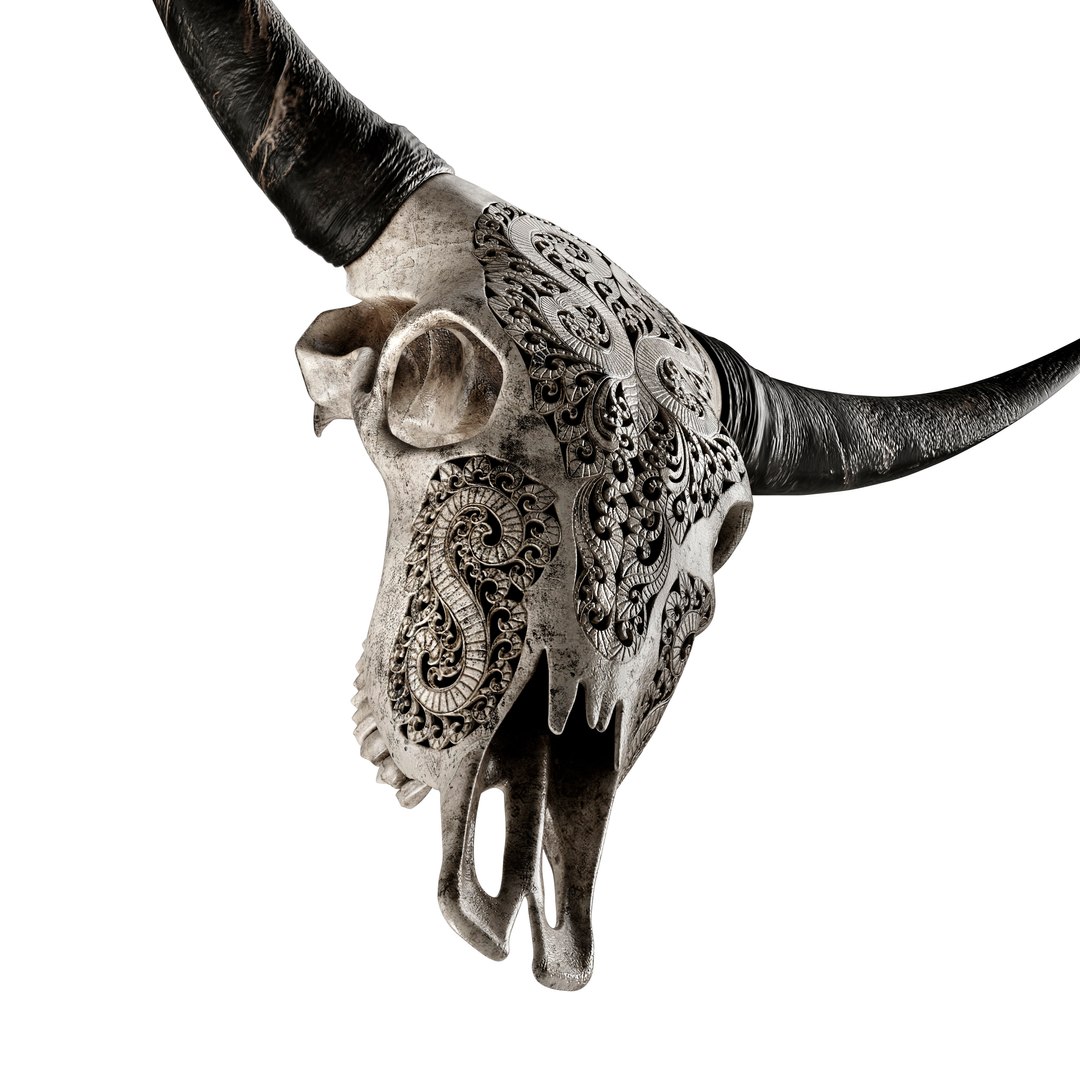 3D Carved cow skull https://p.turbosquid.com/ts-thumb/qy/ze3rWH/EF/28/jpg/1622655904/1920x1080/fit_q87/dc9adfac11b50f72dccb81a289aea850a017d5cd/28.jpg