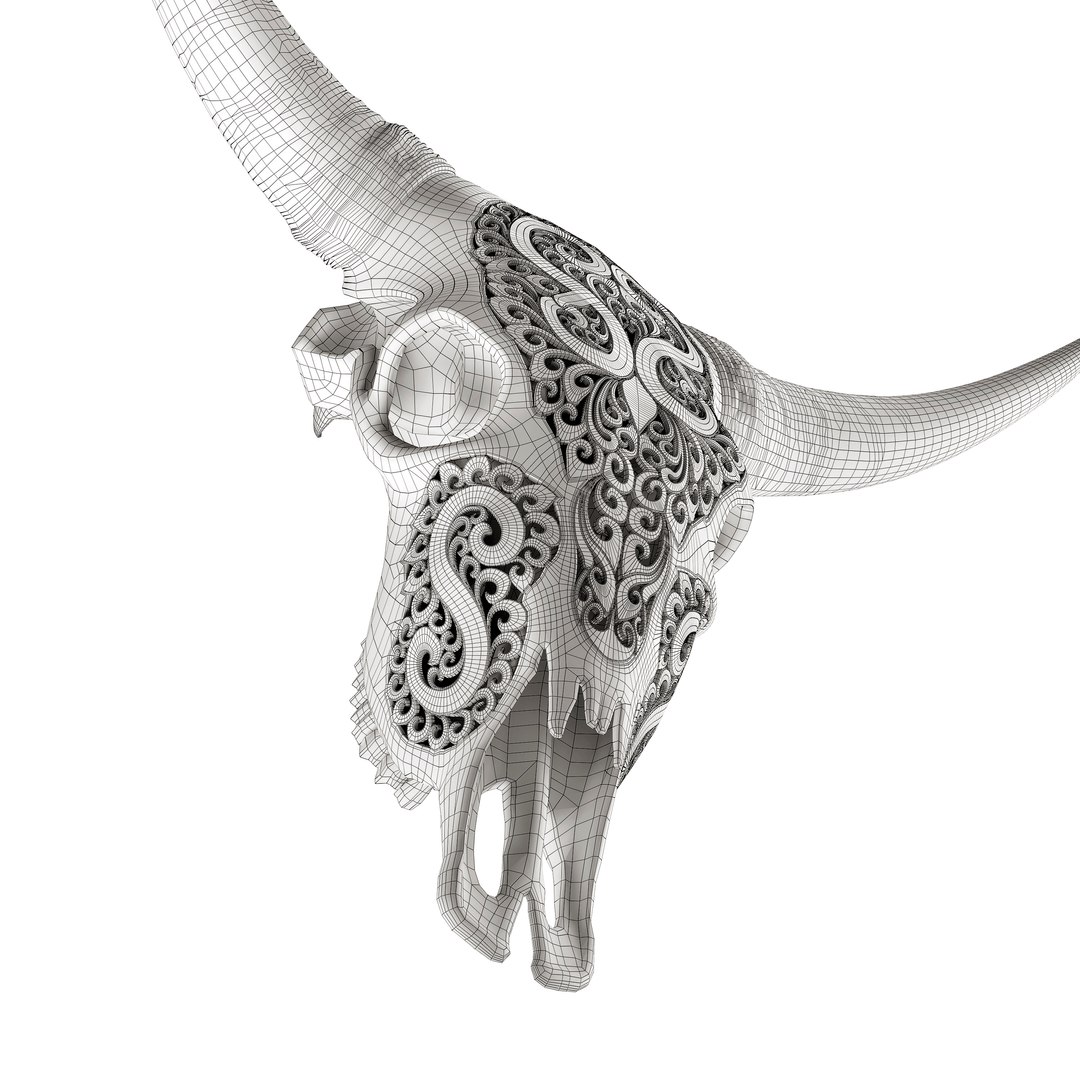 3D Carved cow skull https://p.turbosquid.com/ts-thumb/qy/ze3rWH/Lo/9/jpg/1622655906/1920x1080/fit_q87/42d35080188e1b36823197d6ea10dbc8fc64a6ef/9.jpg