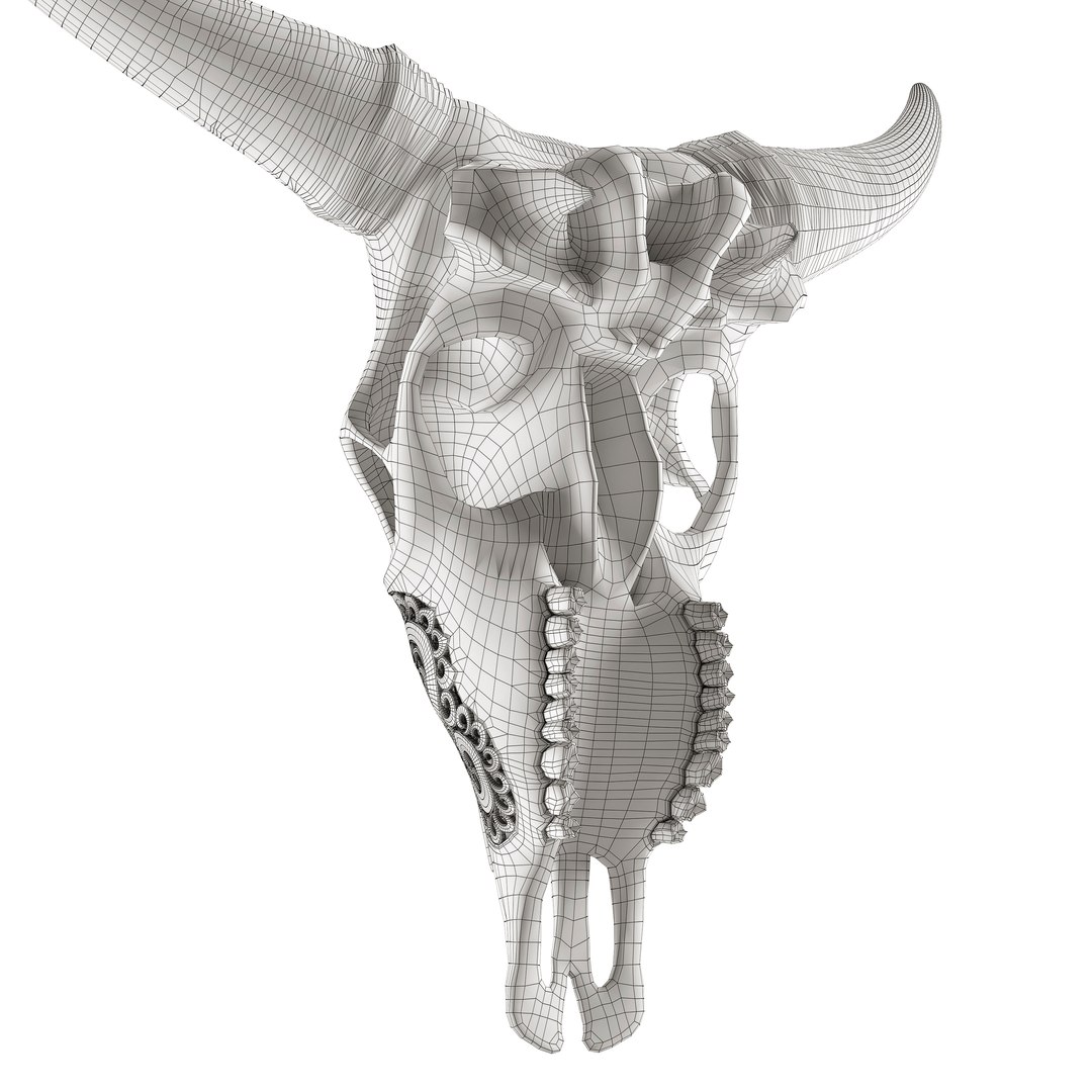 3D Carved cow skull https://p.turbosquid.com/ts-thumb/qy/ze3rWH/N0/8/jpg/1622655904/1920x1080/fit_q87/24e5dfc64b80415009f75f49e1bb2e773cfcca6a/8.jpg