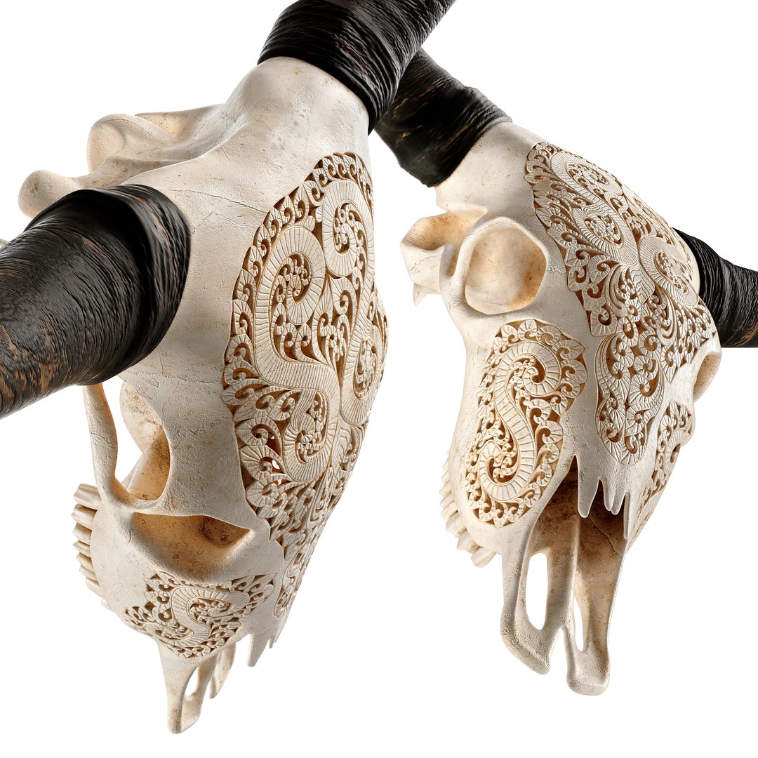 3D Carved cow skull https://p.turbosquid.com/ts-thumb/qy/ze3rWH/lZ/5_/jpg/1622655920/1920x1080/fit_q87/908c87165db2d6acb3f3b532d4a80bed828f39cb/5_.jpg