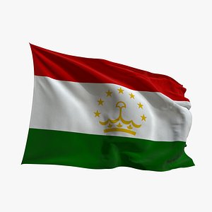 3D Realistic Animated Flag - Microtexture Rigged - Put your own texture - Def Tajikistan