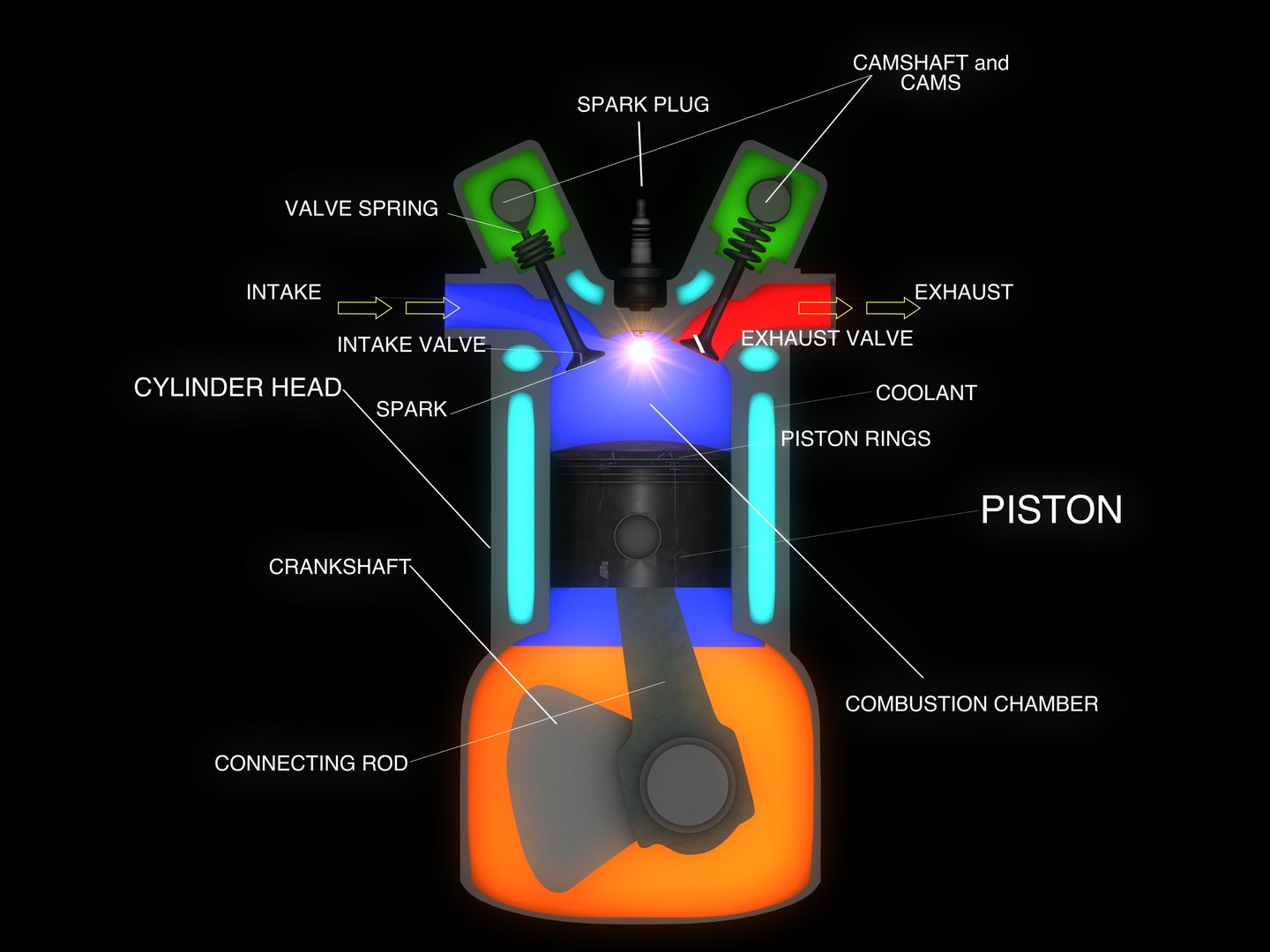 3d Educational Engine Rotary Model