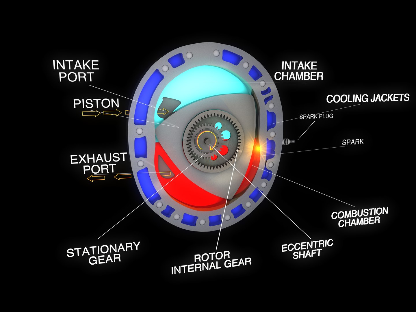 3d Educational Engine Rotary Model