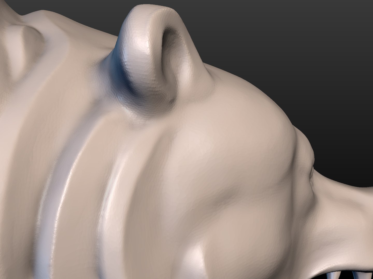 3D bear head https://p.turbosquid.com/ts-thumb/qz/P6pzxL/ceOBJbih/bear_head16/png/1521630353/1920x1080/fit_q87/261532c378a676ae769f98c805d4759ec3cbab98/bear_head16.jpg
