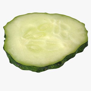 3D cucumber slice model