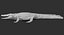 Crocodile Rigged
