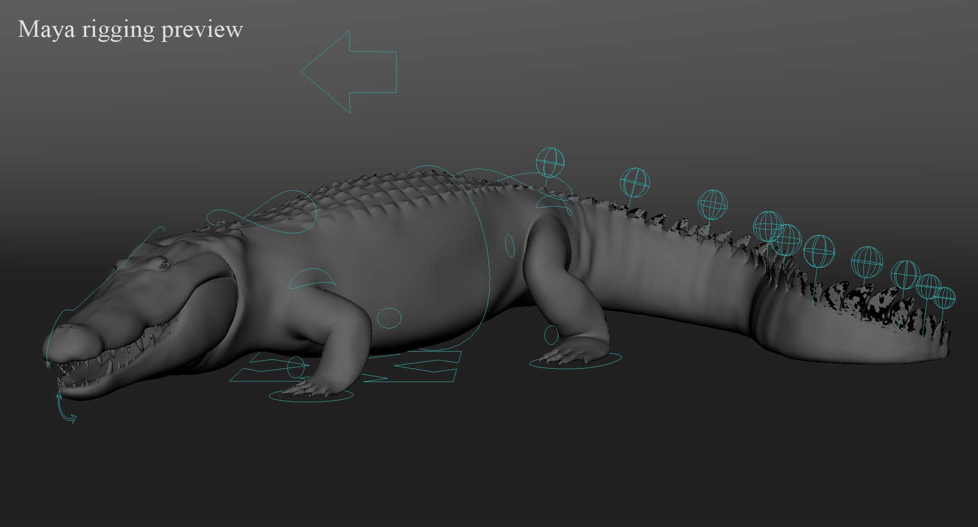 crocodile rigged 3d max