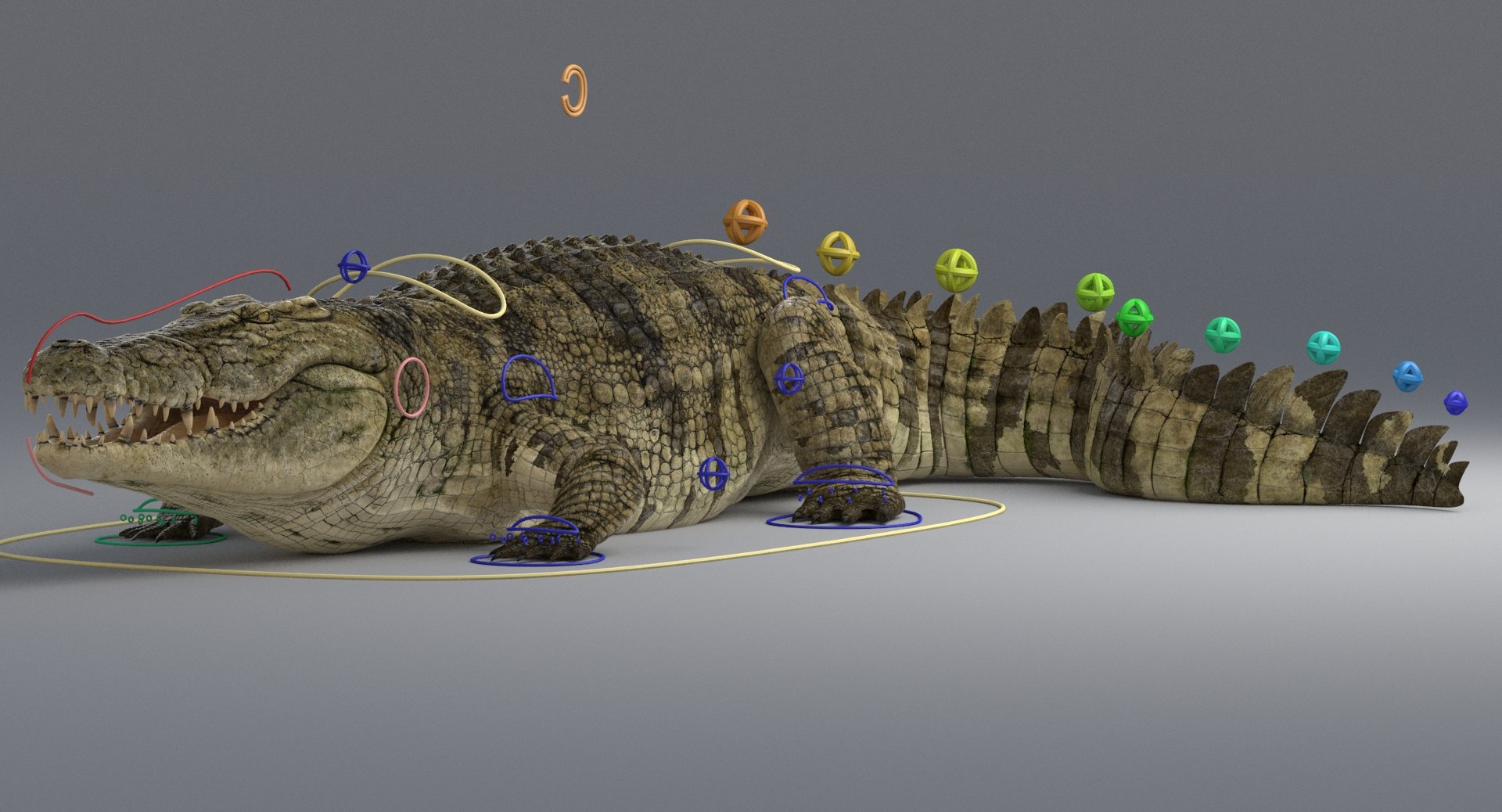 crocodile rigged 3d max https://p.turbosquid.com/ts-thumb/qz/fsGyEj/J2PjownH/4/jpg/1485180676/1920x1080/fit_q87/c5a1fb902a1eefb157b8364a2201db79f8e82a17/4.jpg