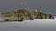 Crocodile Rigged