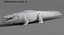 Crocodile Rigged