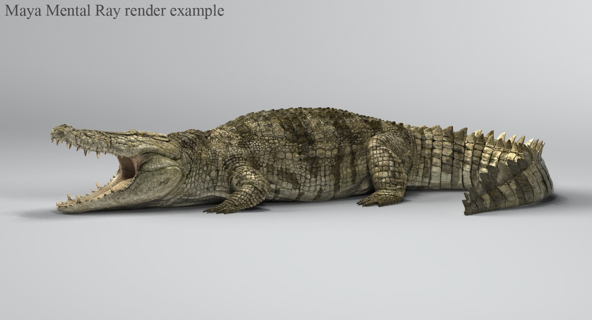 crocodile rigged 3d max https://p.turbosquid.com/ts-thumb/qz/fsGyEj/uf6hIaIg/mentalray/jpg/1500454458/1920x1080/fit_q87/c5ef484ce3fcb89b43e280bcca8e3e87ca449548/mentalray.jpg