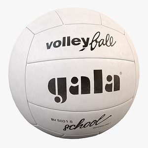 volleyball gala 3d model