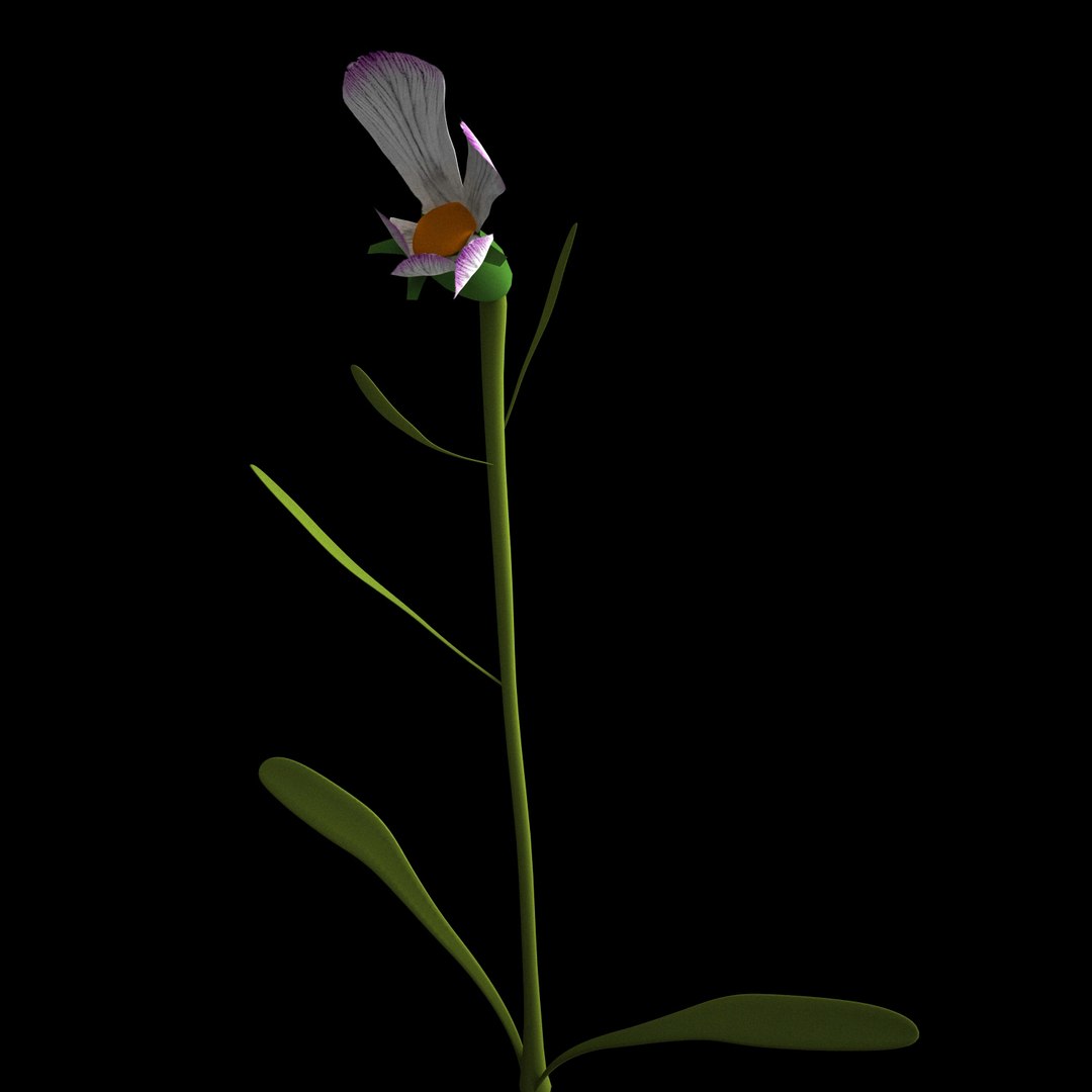 3D flowers open animation - TurboSquid 1588731