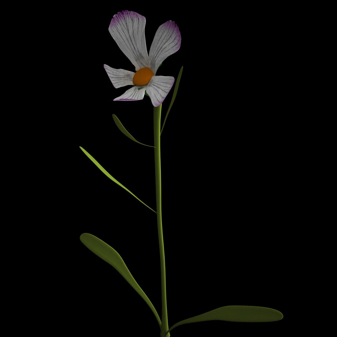 3D flowers open animation - TurboSquid 1588731