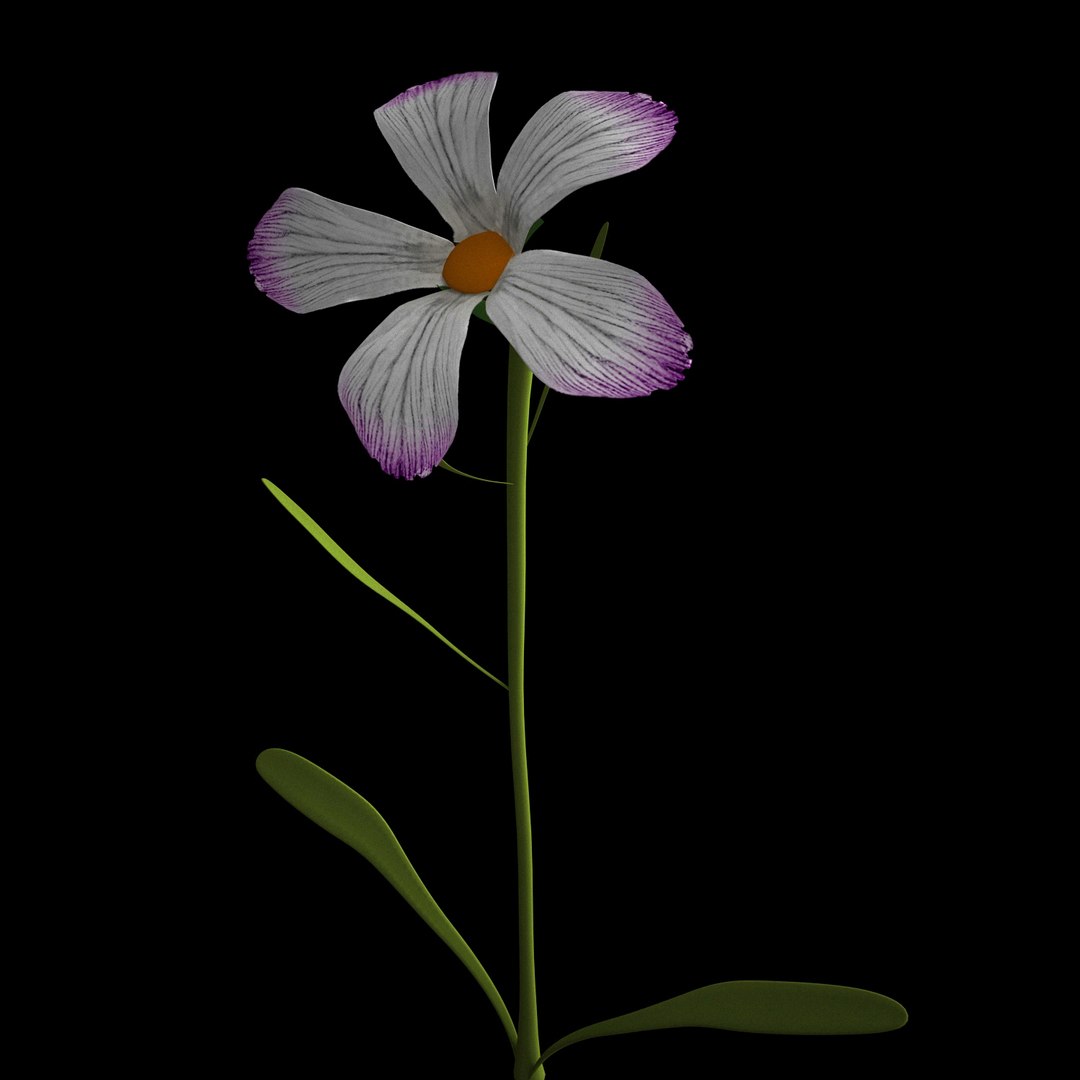 3D flowers open animation - TurboSquid 1588731