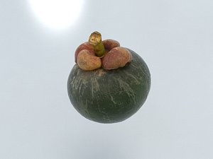 3D mangosteen menu photogrammetry