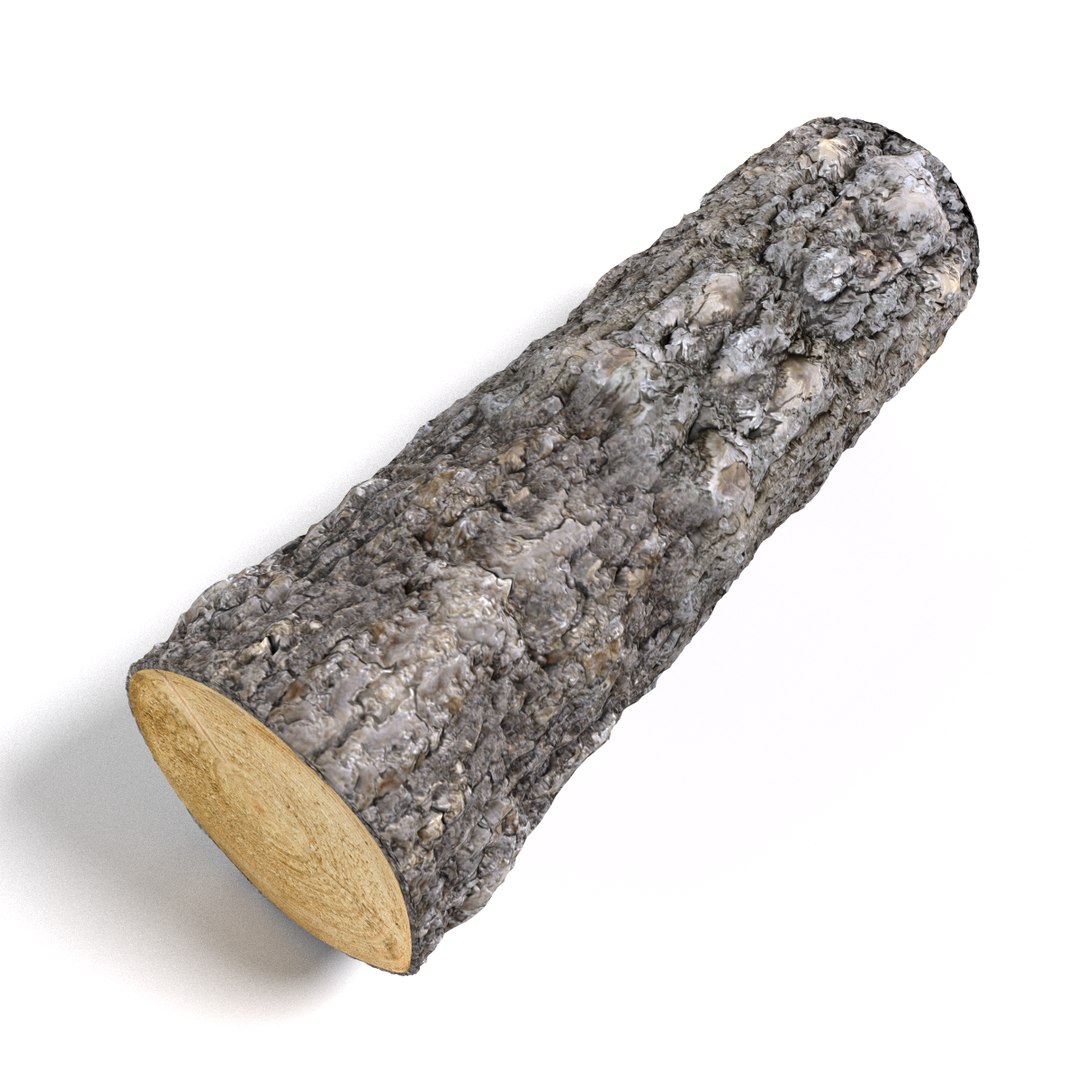 Wood Log Model - TurboSquid 830062