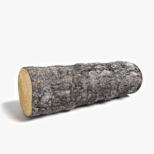 Wood Log