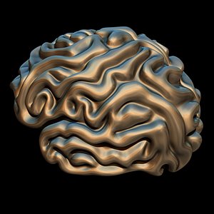 Brain
