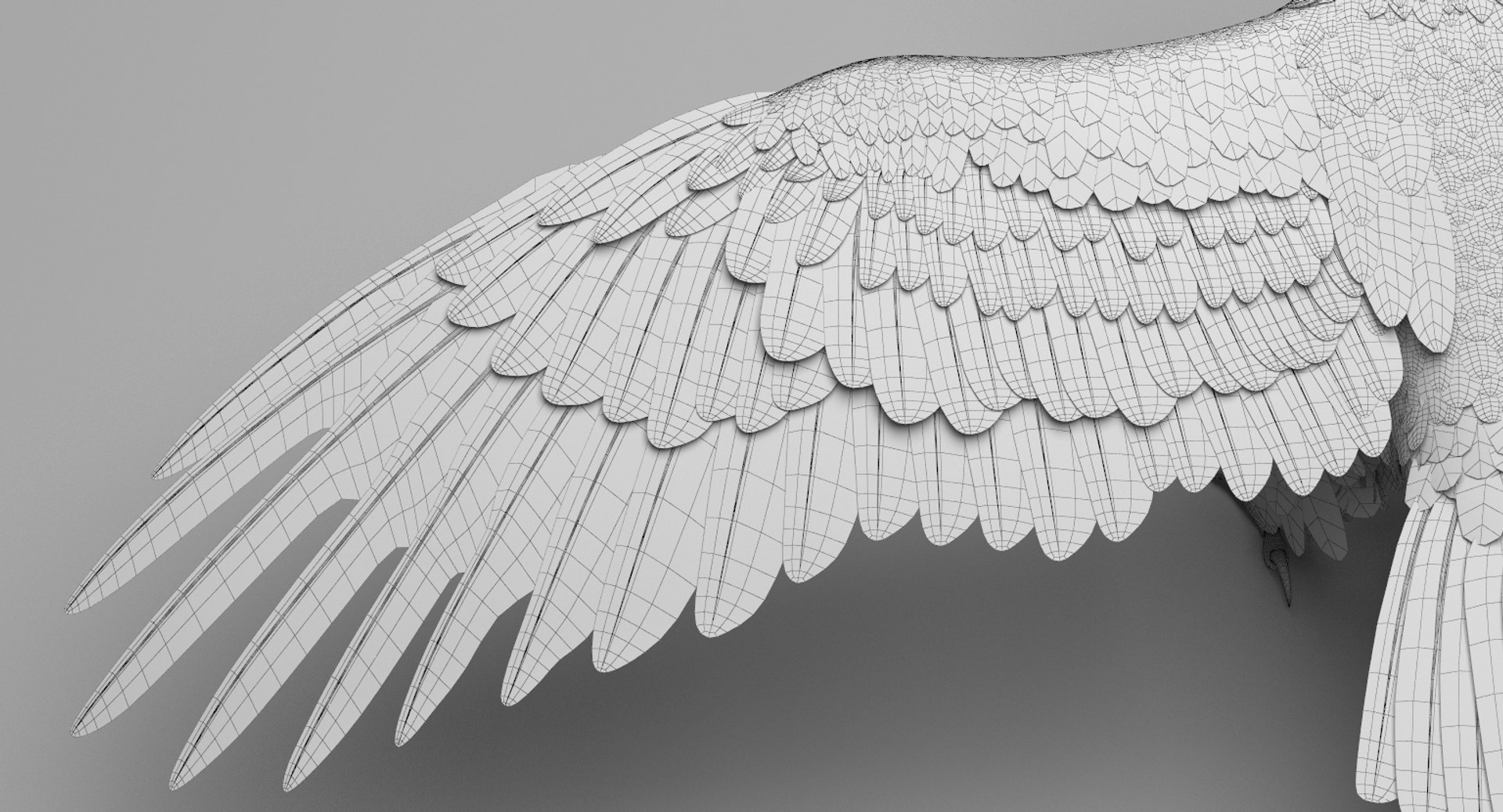 3D american bald eagle animations https://p.turbosquid.com/ts-thumb/r0/ybD0Kk/3C69kAcV/27/jpg/1547123247/1920x1080/fit_q87/c4b142ac98297e92f9c320af05dbbc6ede9ef03b/27.jpg