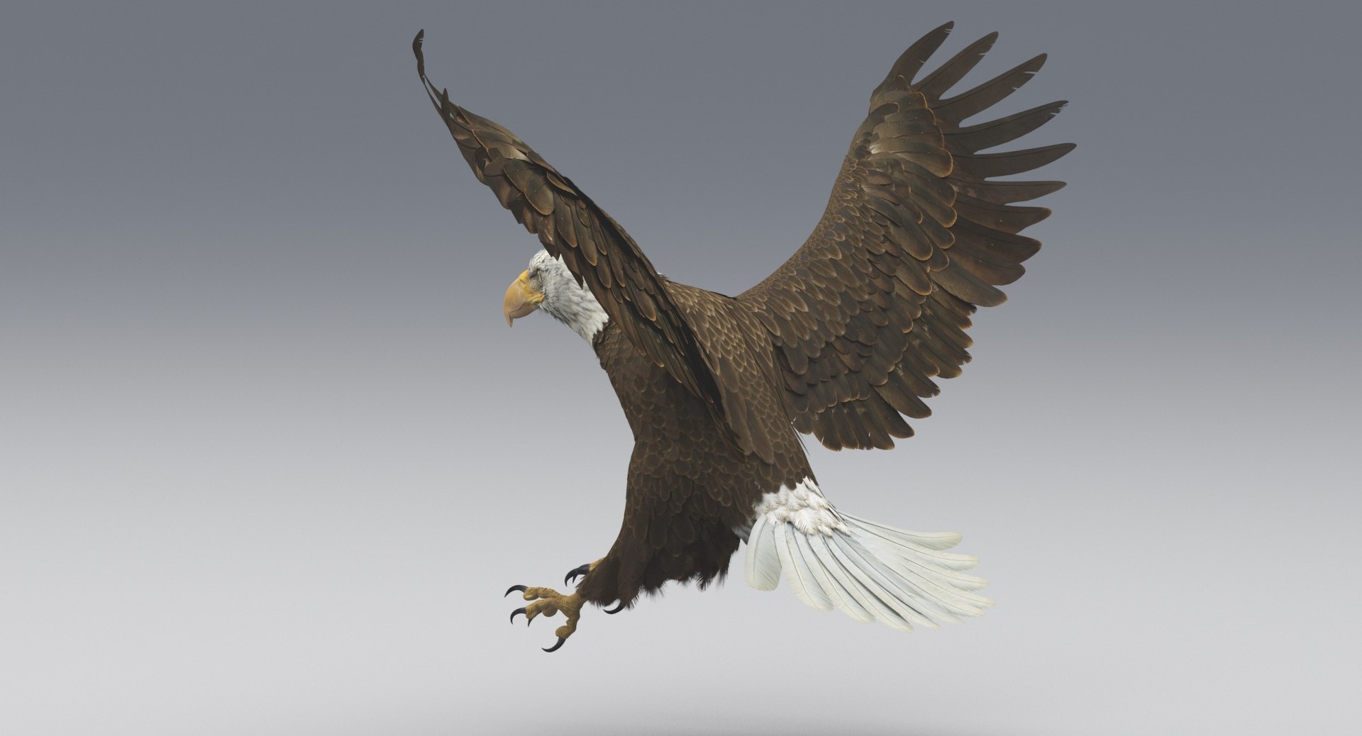 3D american bald eagle animations https://p.turbosquid.com/ts-thumb/r0/ybD0Kk/ANMF7tj7/3/jpg/1547116335/1920x1080/fit_q87/c6ac9dc7345b33dc5bbd96189f6168c5a107a45b/3.jpg